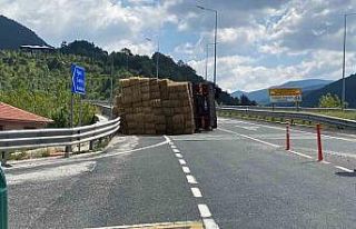 Balya yüklü kamyon devrildi, sürücü yara almadan...