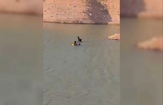 Baraj suyuna giren genç boğularak hayatını kaybetti