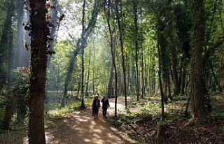 Başiskele’nin yeşil alanları "nefes"...