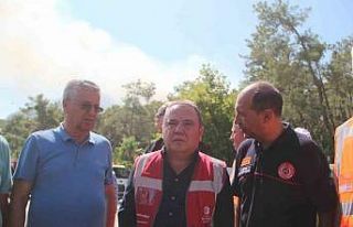 Başkan Böcek: "Yanan alan 180 hektarı geçti"
