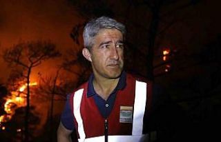 Başkan Oktay’dan orman yangınlarına karşı dikkat...