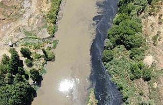 Basra Körfezi’ne kadar giden Dicle Nehri’nde...