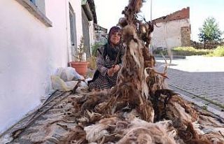 Bayburtlu kadınların zorlu yün çırpma mesaisi...