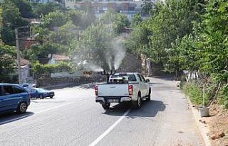 Bayraklı’da ilaçlama seferberliği