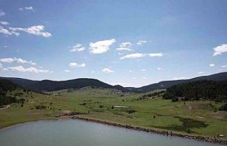 Bayram tatilini fırsat bilen vatandaşlar soluğu...