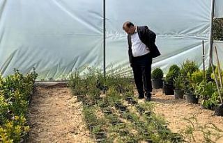 Belediye Başkanı Doğan: "Ata tohumlarına...