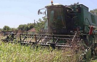 BELTUR üretiyor, işliyor ve kullanıyor