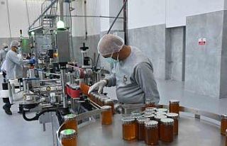 BETAV’ın bal fabrikası öğrencilere burs sağlıyor