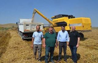 Beylikova’da hububat hasadı başladı