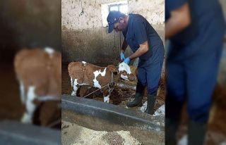 Beyşehir’de karantinaya alınan mahallelerde aşılama...