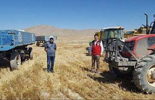 Biçerdöverler dane kaybına karşı kontrol ediliyor