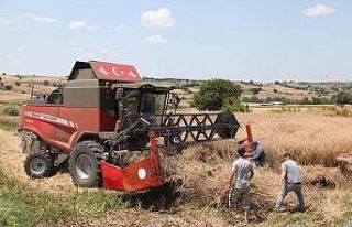 Biga’da ‘Kanola Ekelim Yağ olsun, Bal Olsun’...