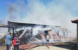 Bilecik’te at çiftliğinde yangın