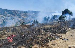 Bilecik’te çıkan orman yangını büyümeden söndürüldü