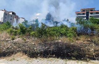 Bilecik’te makilik çıkan yangın büyümeden söndürüldü