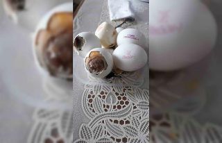 BİM’den aldığı yumurtaların hepsi bozuk çıktı