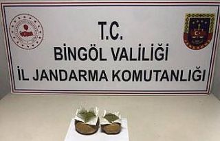 Bingöl’de 2 bin 507 kök kenevir ele geçirildi