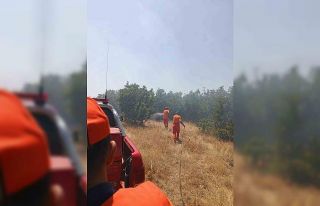 Bingöl’de çıkan orman yangını büyümeden söndürüldü