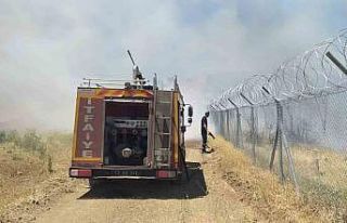 Bingöl’de çıkan örtü yangını söndürüldü