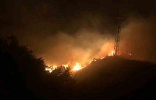 Bingöl’de orman yangını