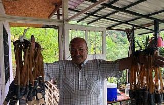 Bir dönemin hem oyuncağı hem silahı sapan