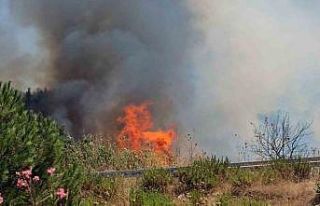 Bodrum Havalimanı kavşağında yangın