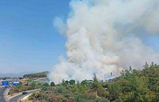 Bodrum yangını büyüyor