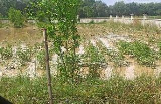 Bolu’da sel felaketinin zararı tespit ediliyor