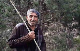 Bolu’daki kazıda yeni gelişme