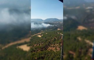 Bolu’daki orman yangınına helikopterler havadan...