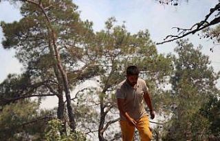 Bolu’daki orman yangınına müdahale devam ediyor