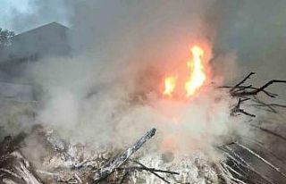 Boş arsada çıkan yangın korkuttu