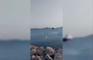 Bostancı Sahili’nde yüzen yunuslar kameraya yansıdı