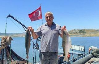 Bozkırın ortasında üretilen balıklar Avrupa’da...