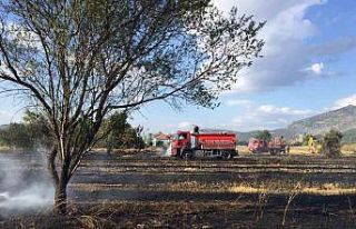 Burdur’da 40 dekar arazi ve arı kovanları yangında...