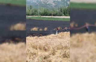 Burdur’da 40 dönüm buğday tarlası yangında...