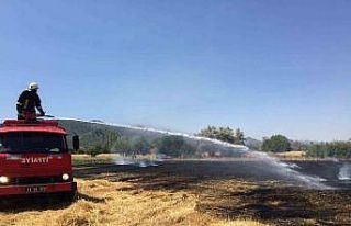 Burdur’da anız yangını