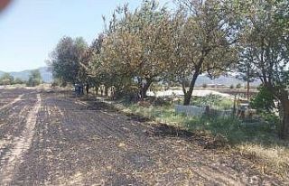 Burdur’da aynı günde ikinci arazi yangını: 8...
