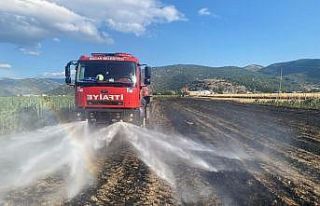 Burdur’da çıkan yangında 20 dekar tarım arazisi...