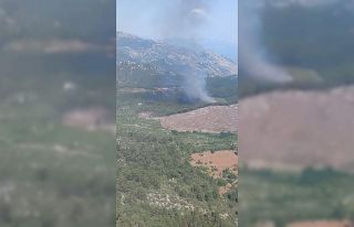 Burdur’da orman yangını