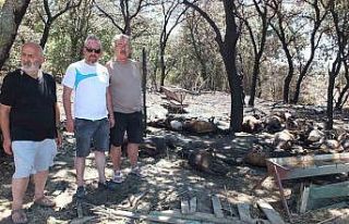 Burhaniye’de ağıl yangını: 33 koyun telef oldu