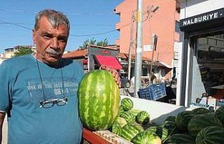 Burhaniye’de emekli eğitimci, çiftçi oldu