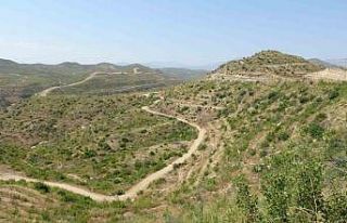 Büyük yangın sonrası Manavgat’ta dikilen 3,5...