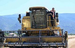 Büyükşehir’den 2 bin 600 dekara buğday ve ayçiçeği...