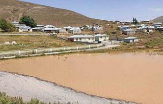 Çaldıran’da sel: Ekili alanlar zarar gördü