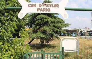 Can dostlar köpek parkı sahipsiz kaldı