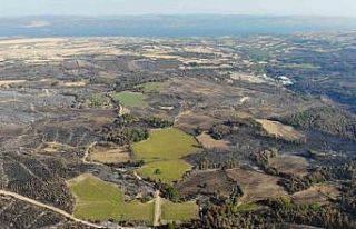 Çanakkale’de 52 saat sonra kontrol altına alınan...