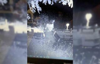 Çanakkale’de Bal Ormanlarına ayıların girmemesi...