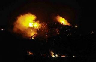 Çanakkale’de gece başlayan orman yangını havadan...