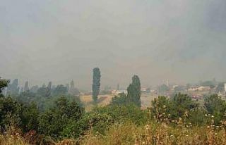 Çanakkale’de orman yangınına havadan ve karadan...